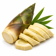 Bamboo Shoot