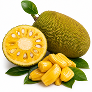 Jackfruit