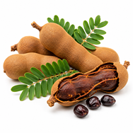 Tamarind